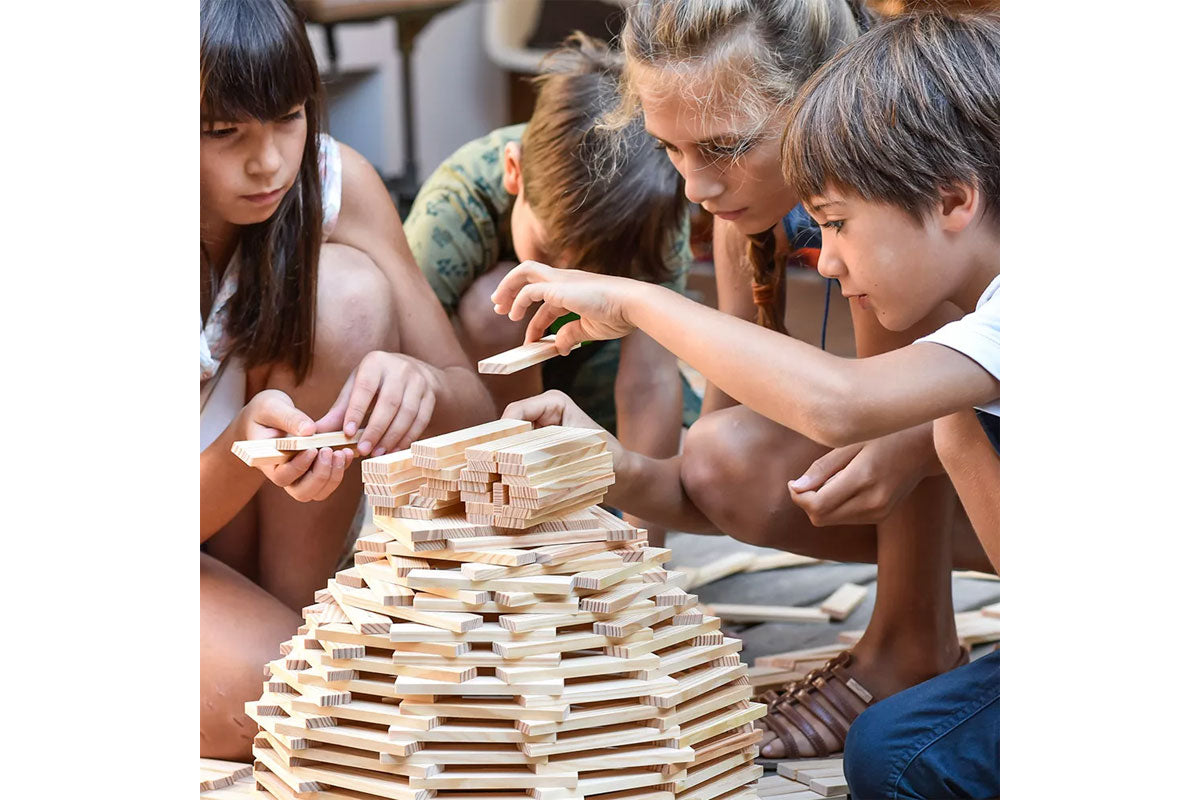 Boîte de blocs KAPLA 1000