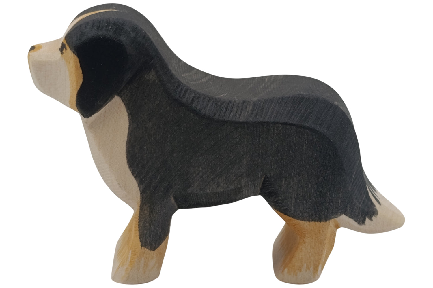 Ostheimer Berner Sennenhund