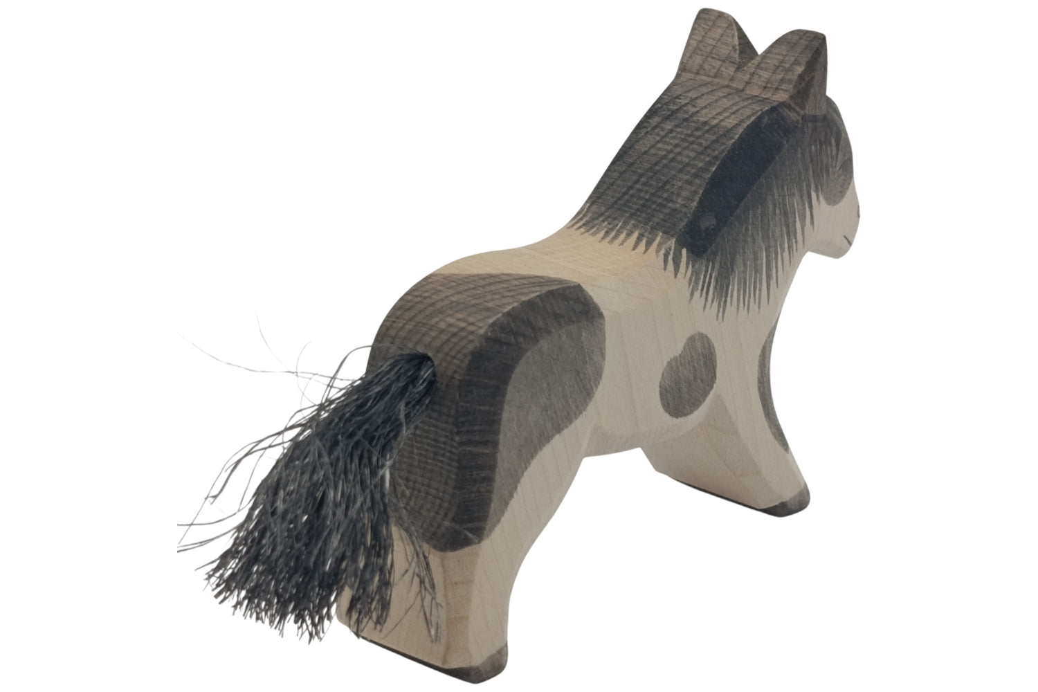 Ostheimer Shetland Pony laufend