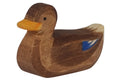 Ostheimer Ente schwimmend