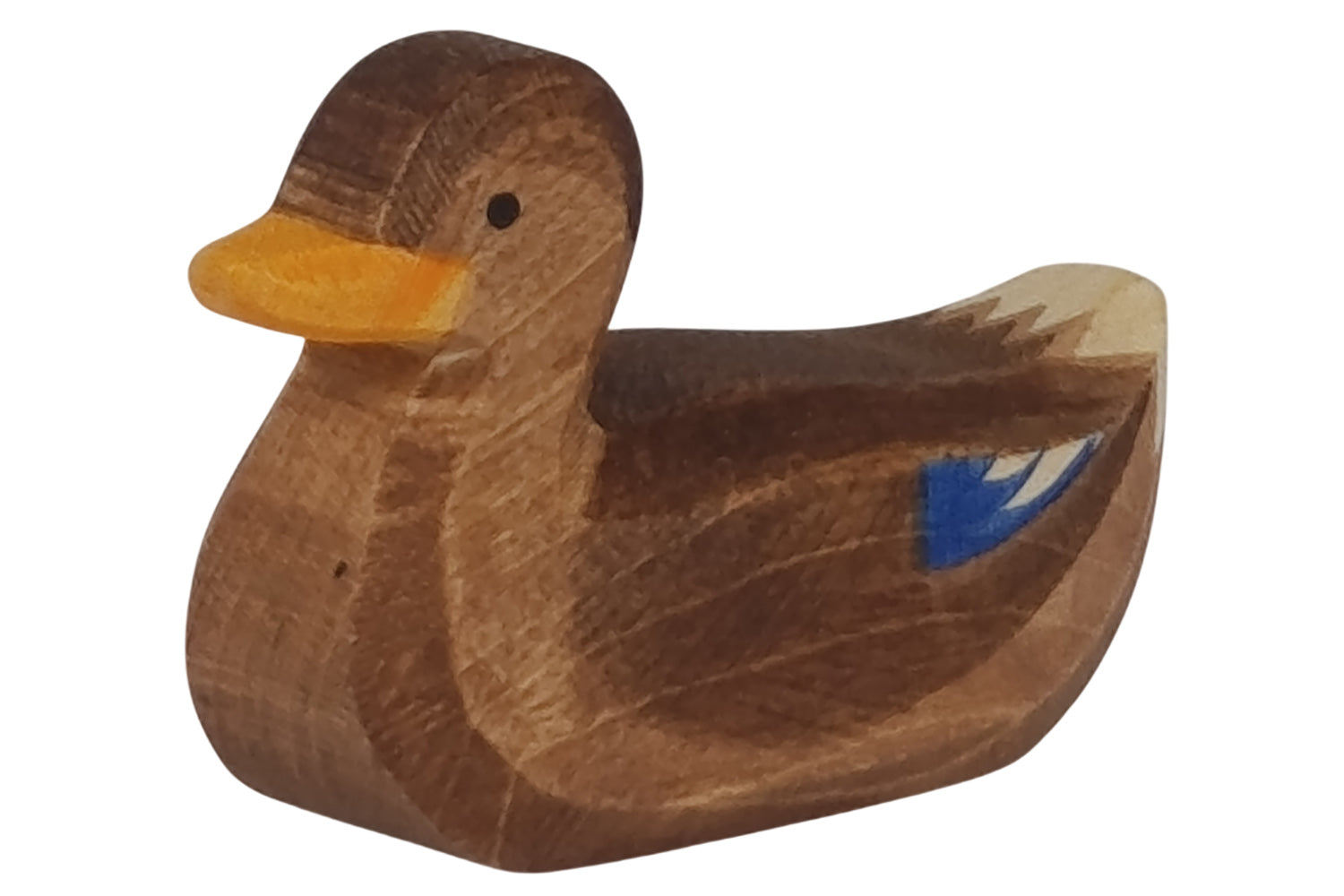 Ostheimer Ente schwimmend