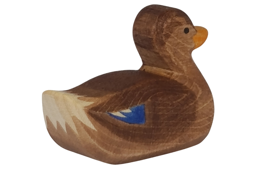 Ostheimer Ente schwimmend