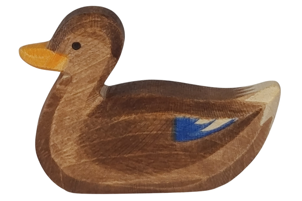 Ostheimer Ente schwimmend