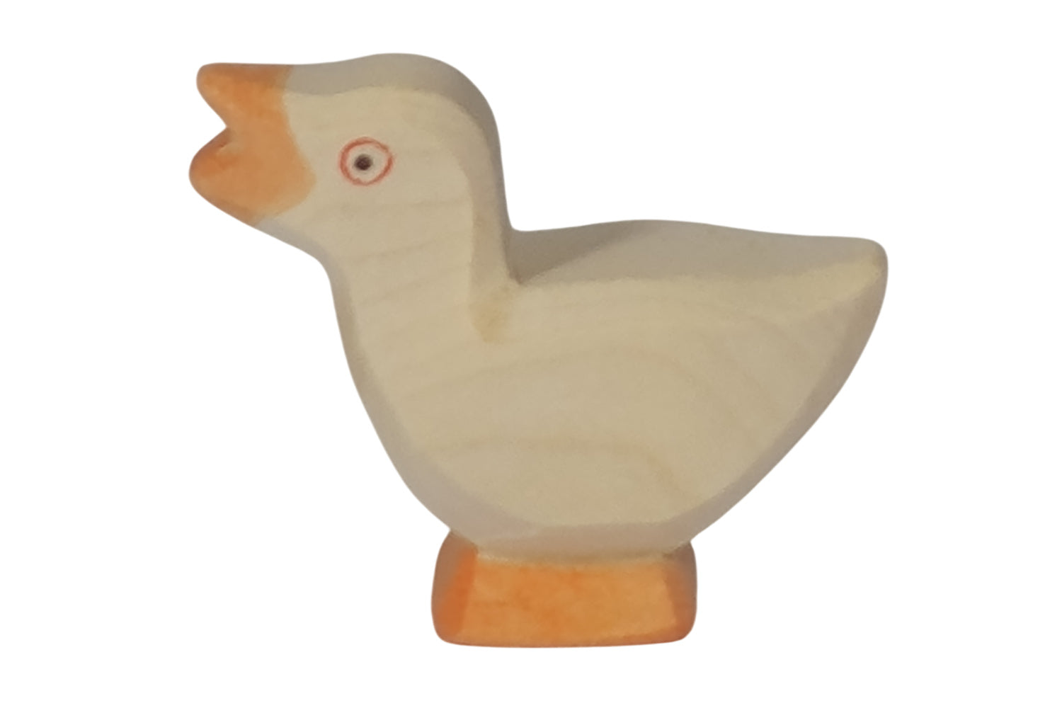 Ostheimer Gänseküken Kopf hoch