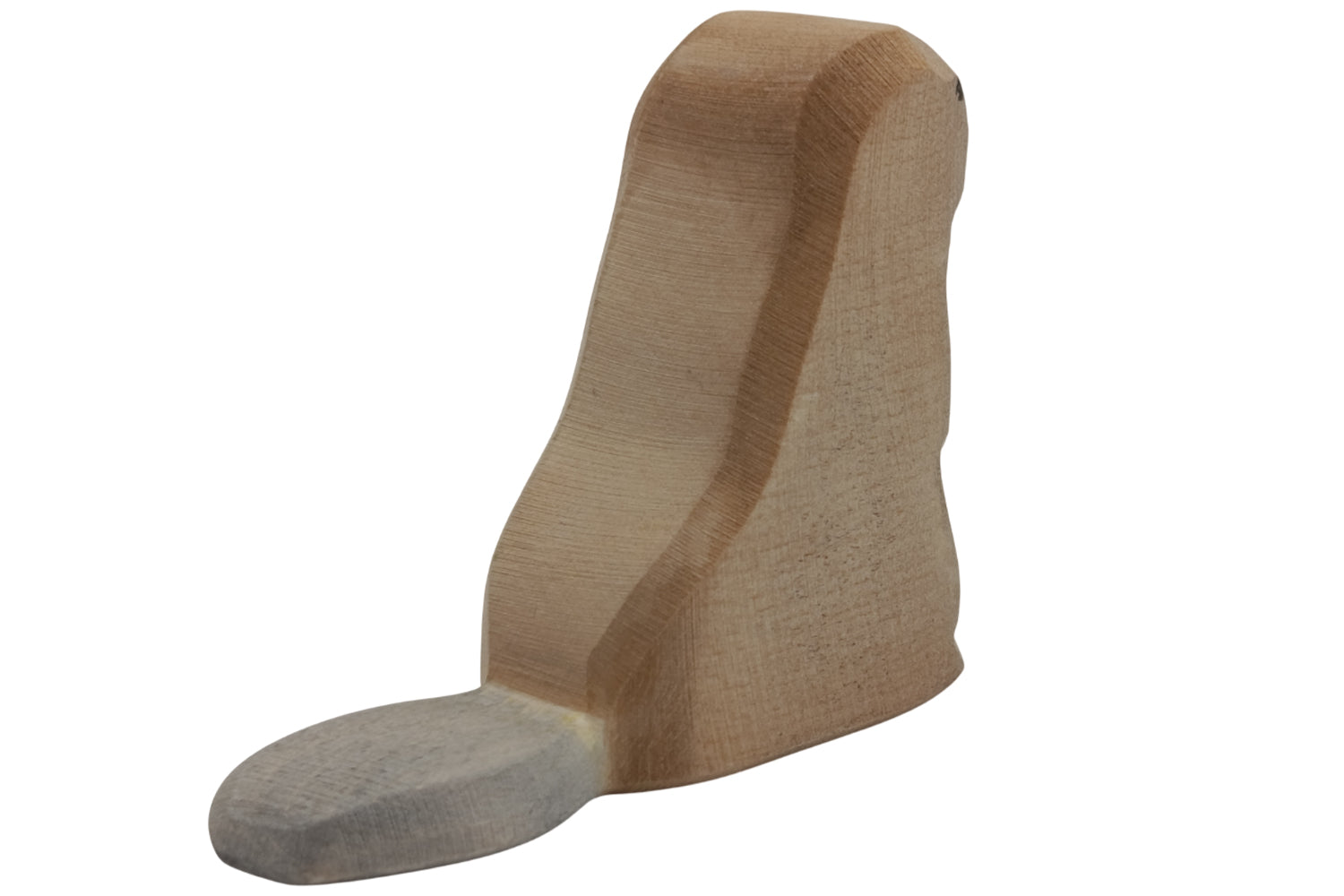 Ostheimer Biber sitzend