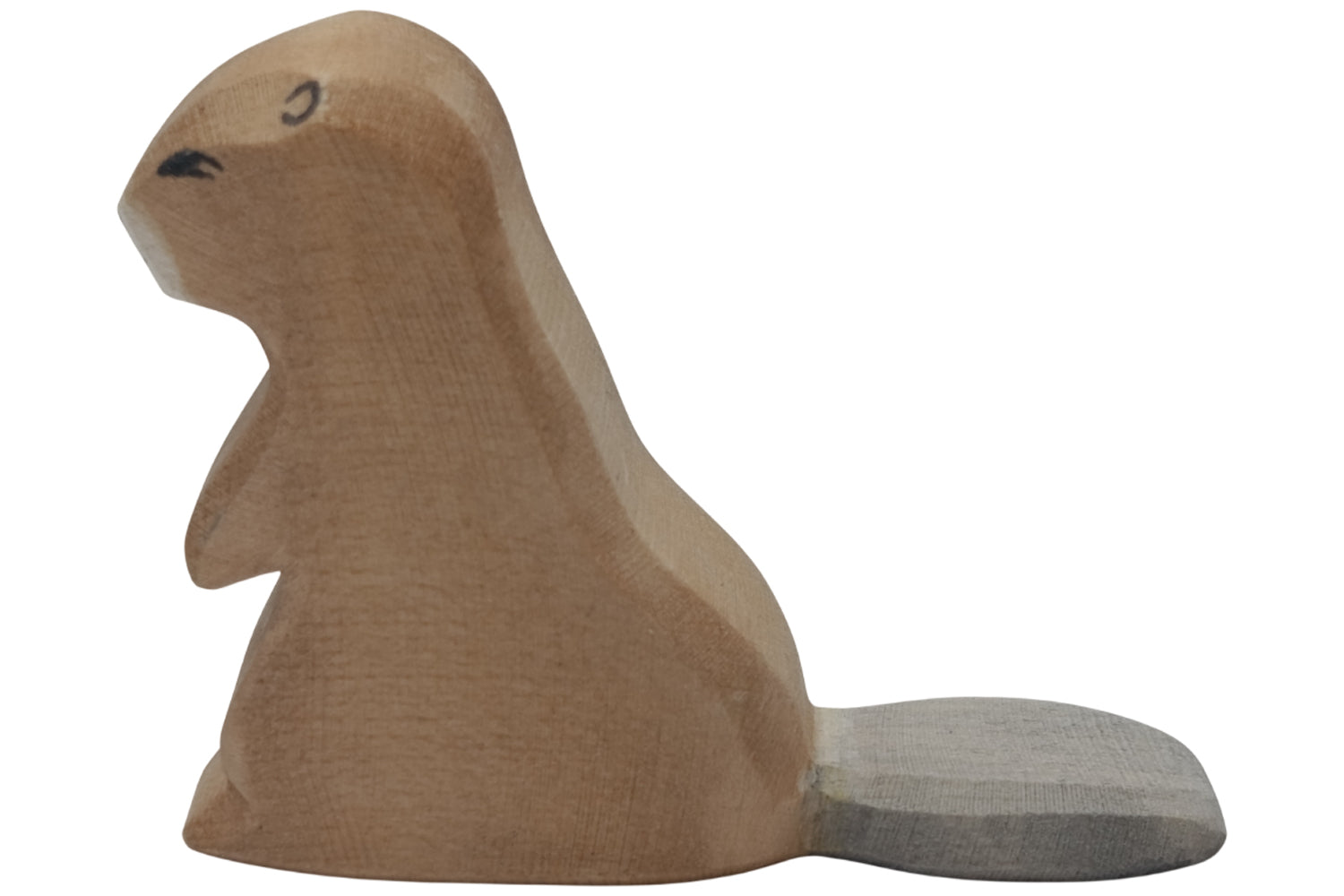 Ostheimer Biber sitzend