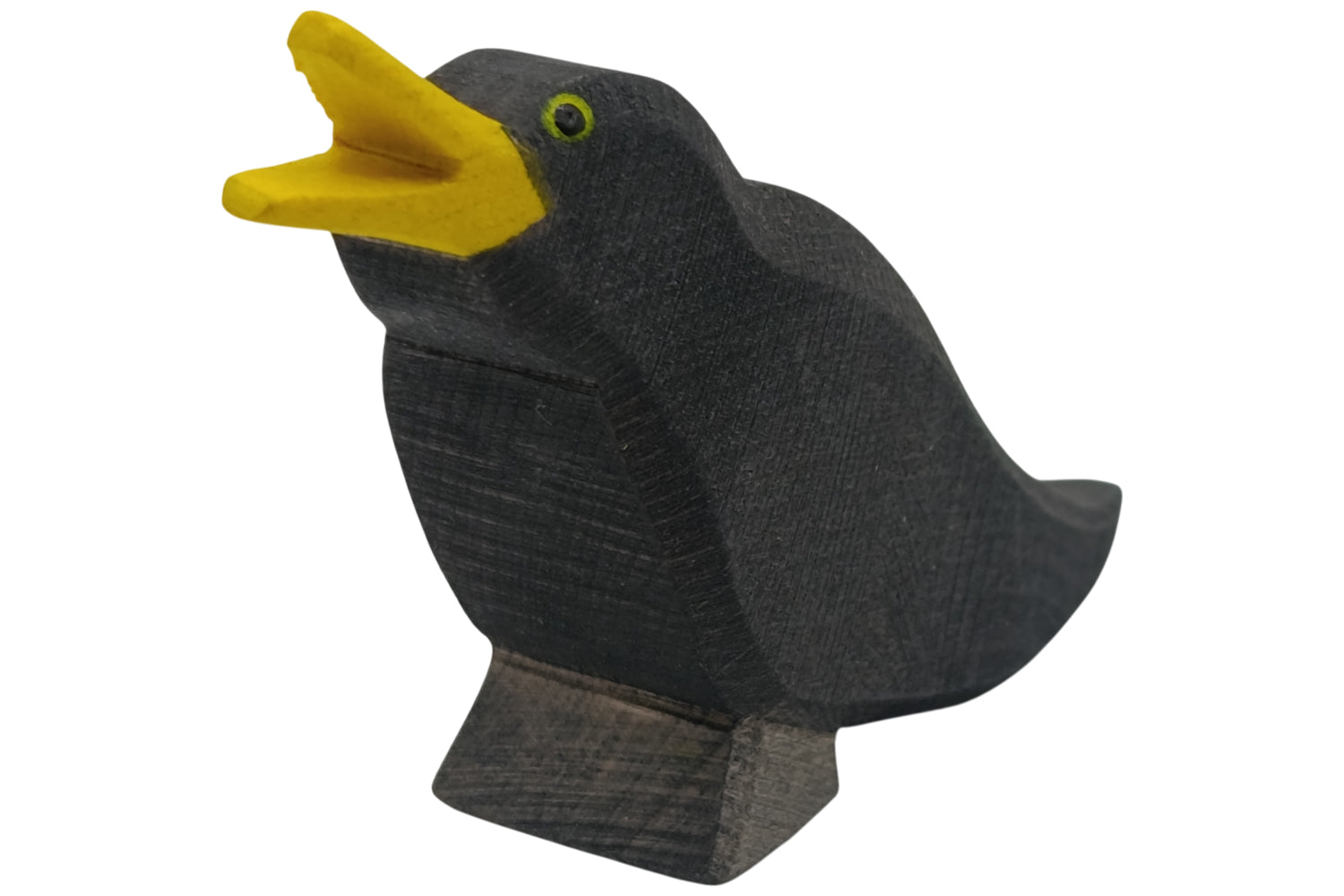 Ostheimer Amsel
