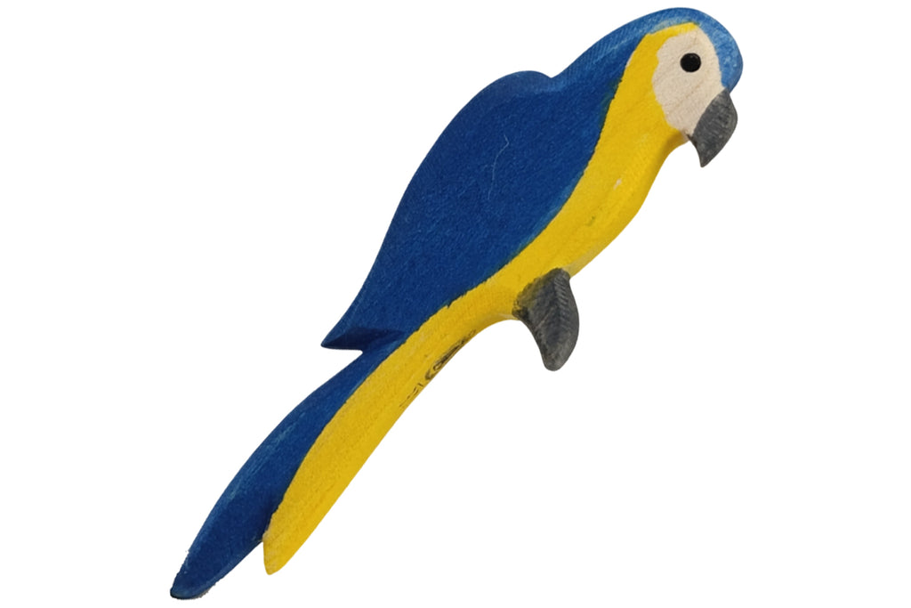 Ostheimer Papagei blau