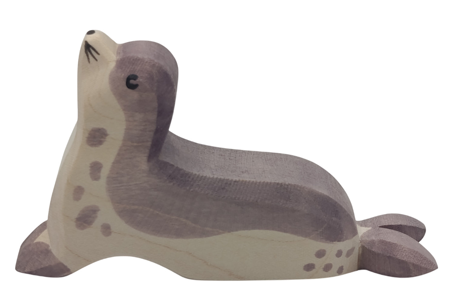 Ostheimer Seehund Kopf hoch