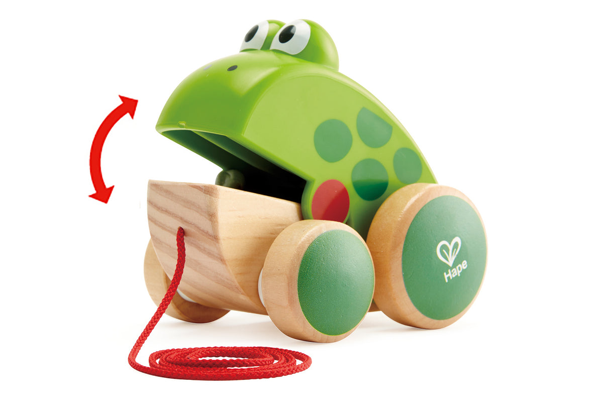 Hape Nachzieh-Frosch Fridolin Ziehtier Holz