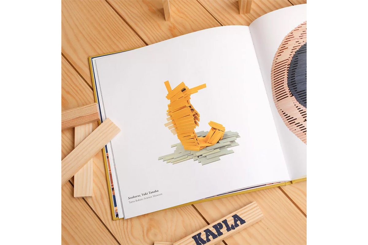 Livre d'art KAPLA Le meilleur de Kapla pour enfants